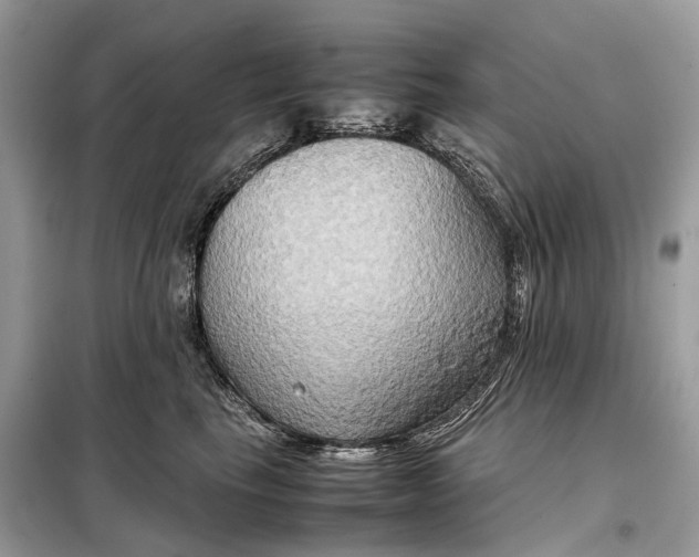 X0000099230665200805081558