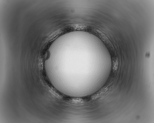 X0000099230666200805081558