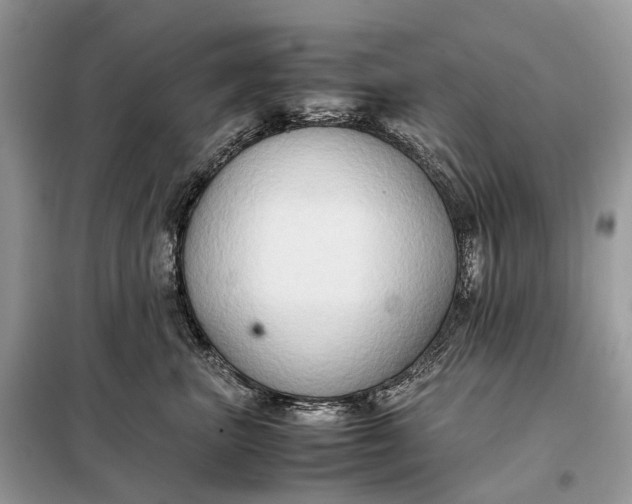 X0000099230667200805081558