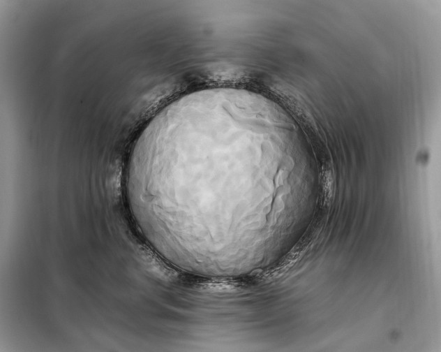 X0000099230668200805081558