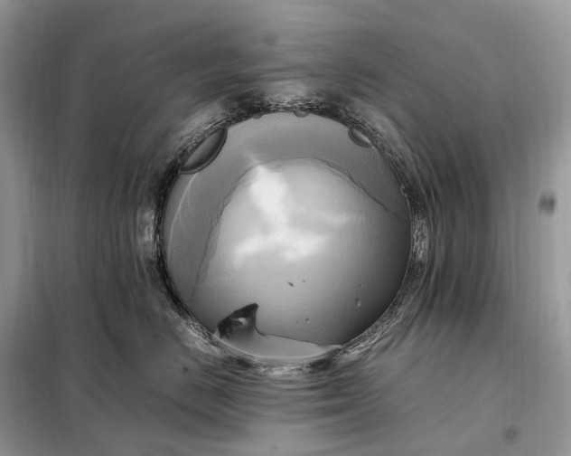 X0000099230670200805081558