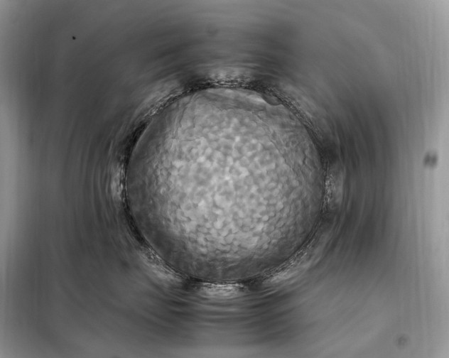 X0000099230671200805081558