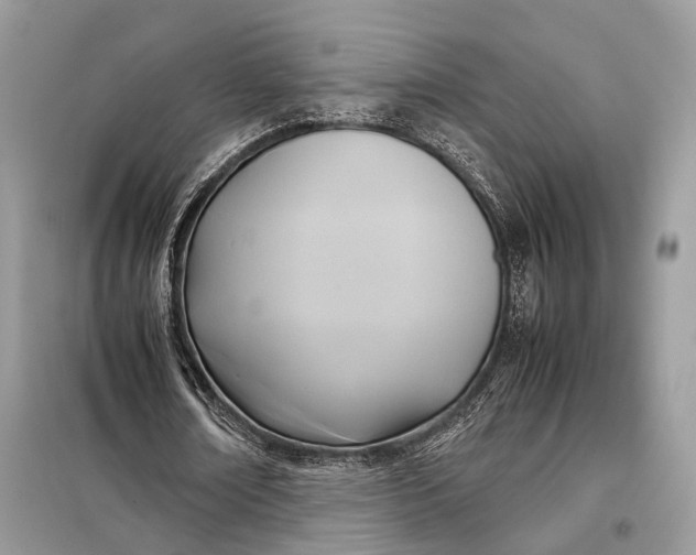 X0000099230674200805081558