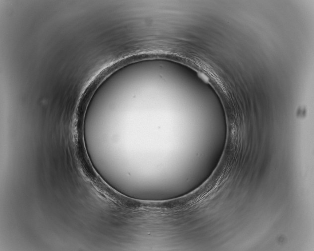 X0000099230676200805081558