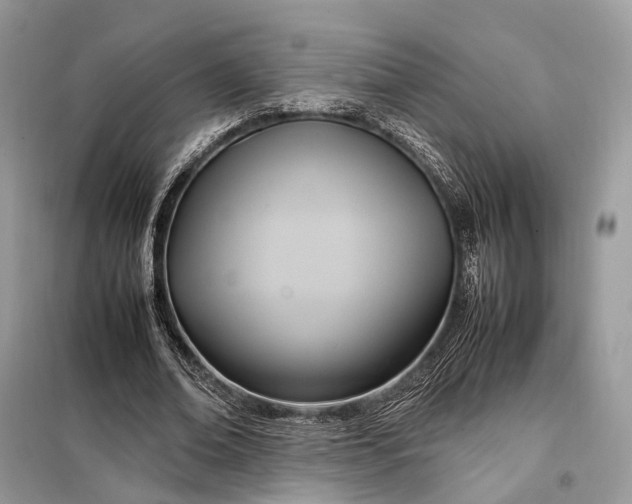 X0000099230678200805081557