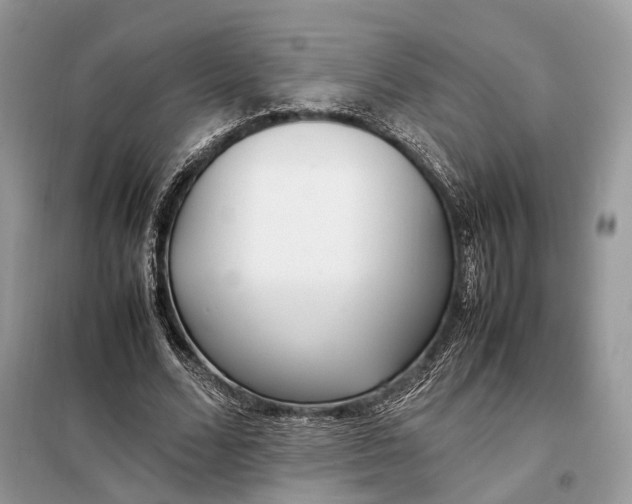 X0000099230680200805081557