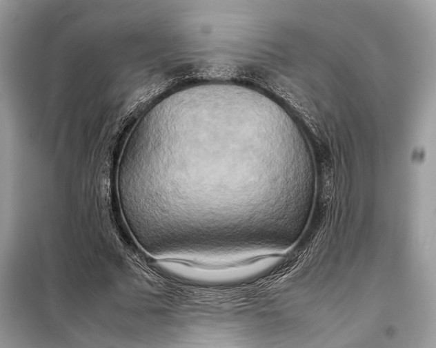 X0000099230681200805081557