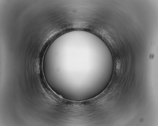 X0000099230684200805081557