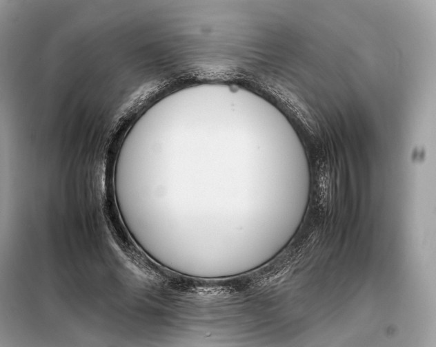 X0000099230686200805081557