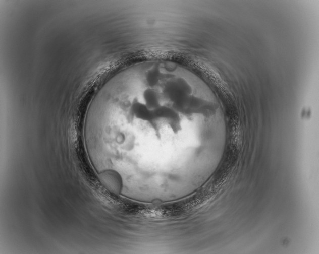 X0000099230687200805081557