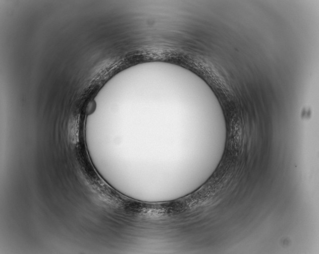 X0000099230694200805081557