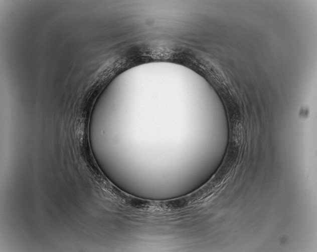 X0000099230697200805081557