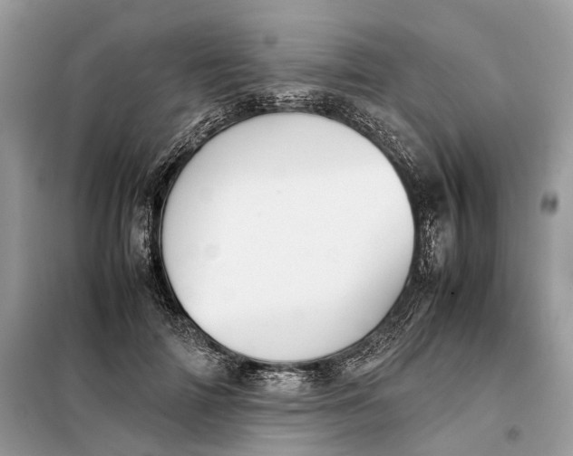 X0000099230698200805081557