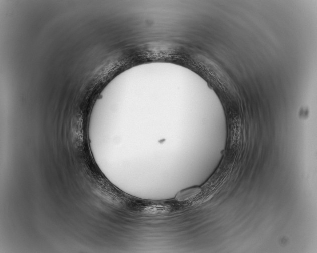 X0000099230700200805081557