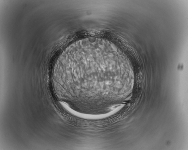 X0000099230703200805081557