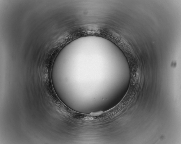 X0000099230704200805081557