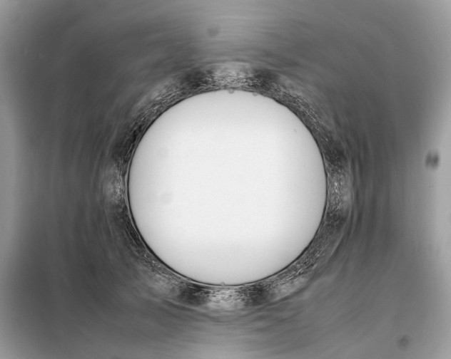 X0000099230705200805081557