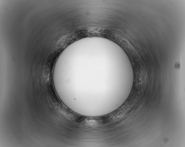 X0000099230706200805081557