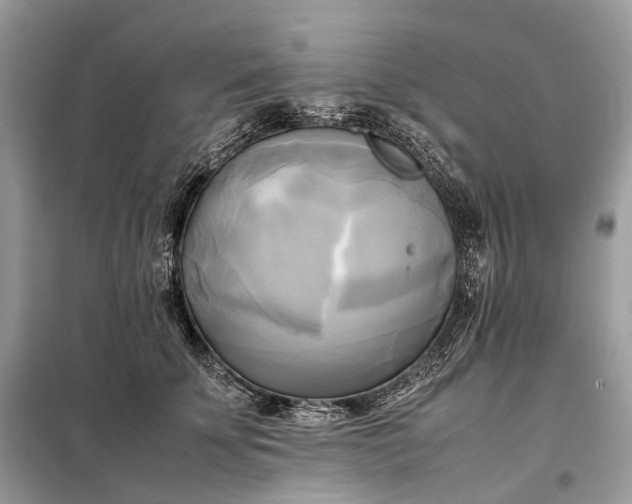 X0000099230707200805081557