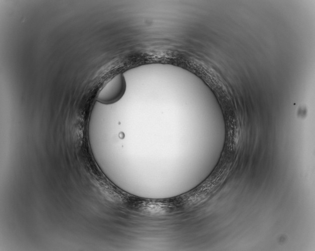 X0000099230710200805081557