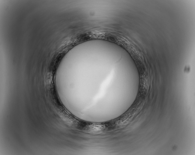 X0000099230711200805081557