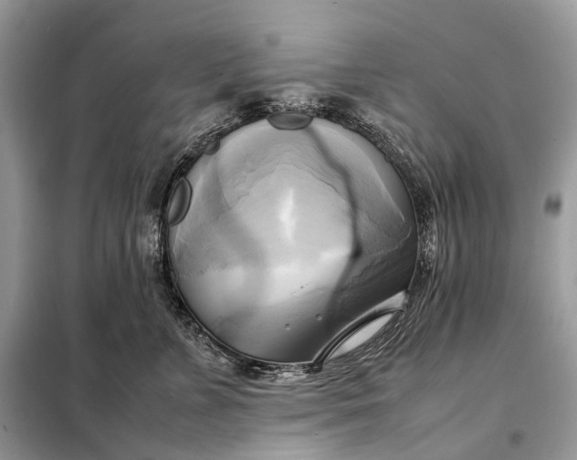 X0000099230715200805081557