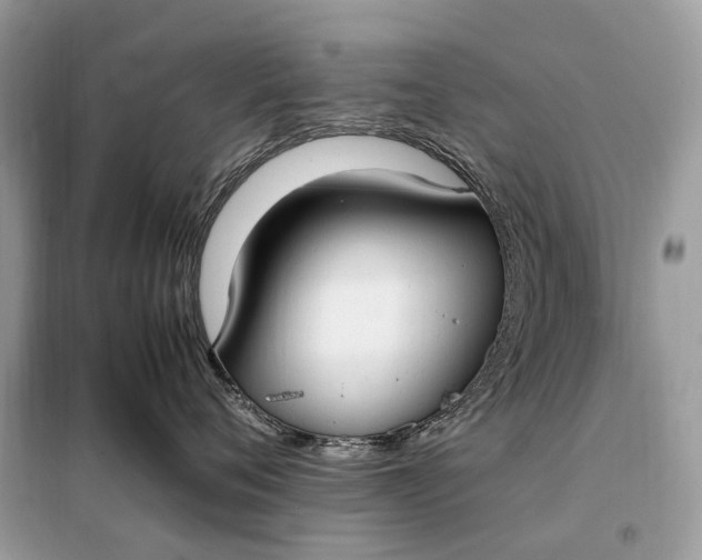 X0000099230720200805081557