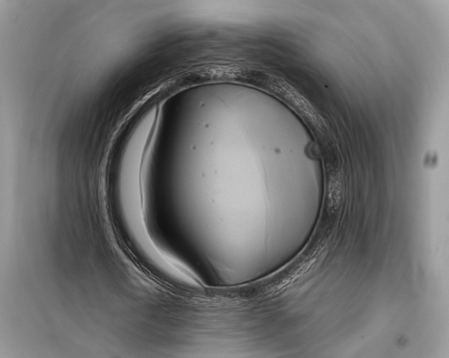 X0000099230722200805081556