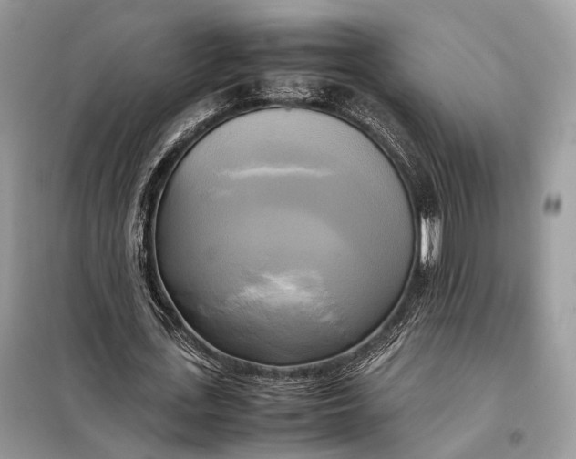 X0000099230723200805081556