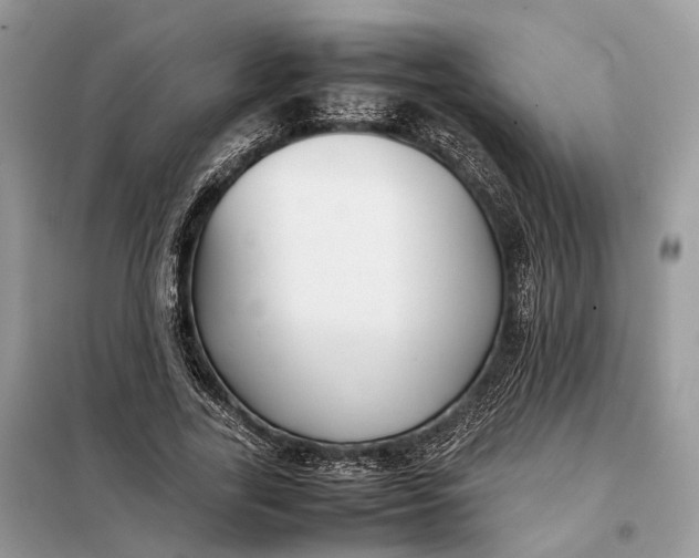 X0000099230731200805081556