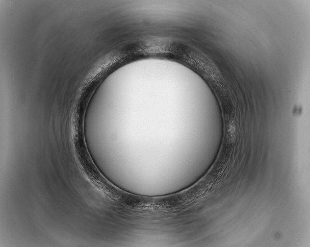 X0000099230732200805081556