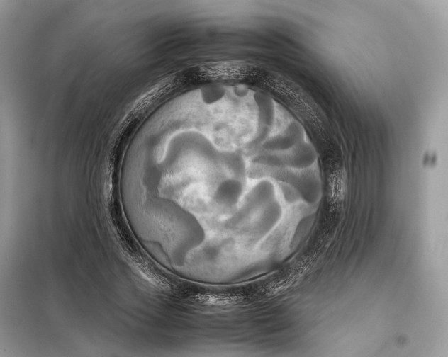 X0000099230733200805081556