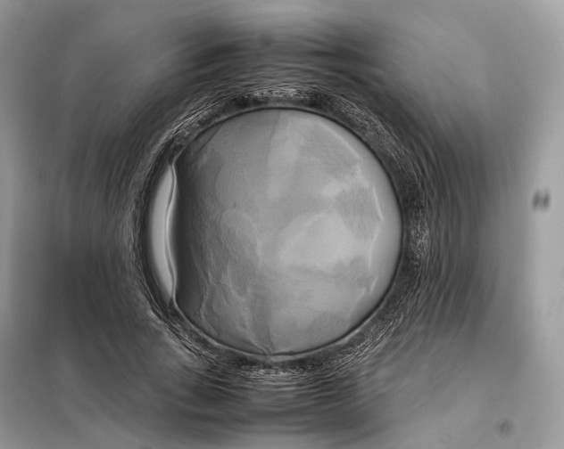 X0000099230735200805081556