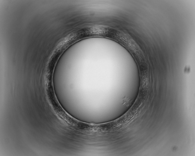 X0000099230736200805081556