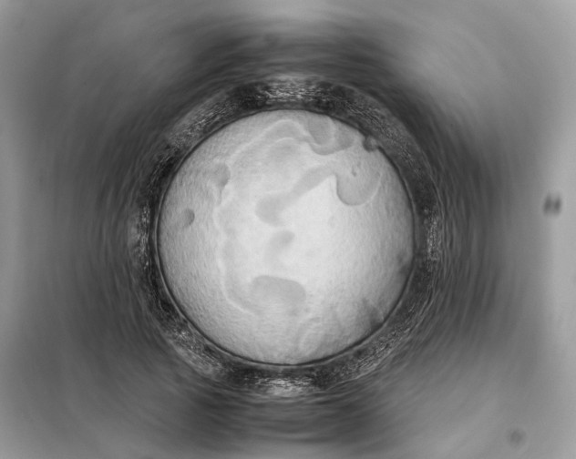 X0000099230737200805081556