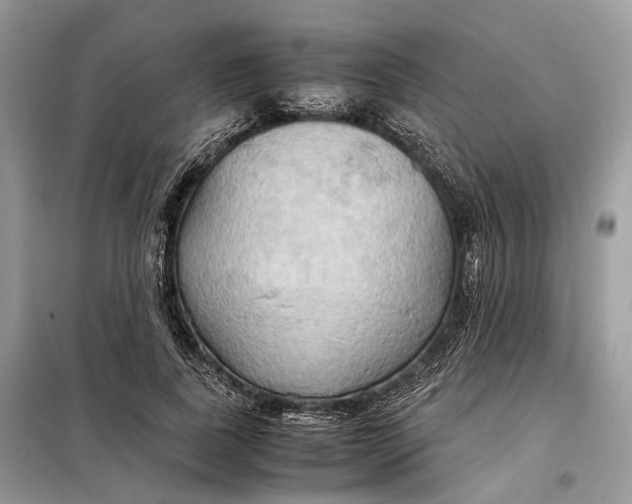 X0000099230739200805081556