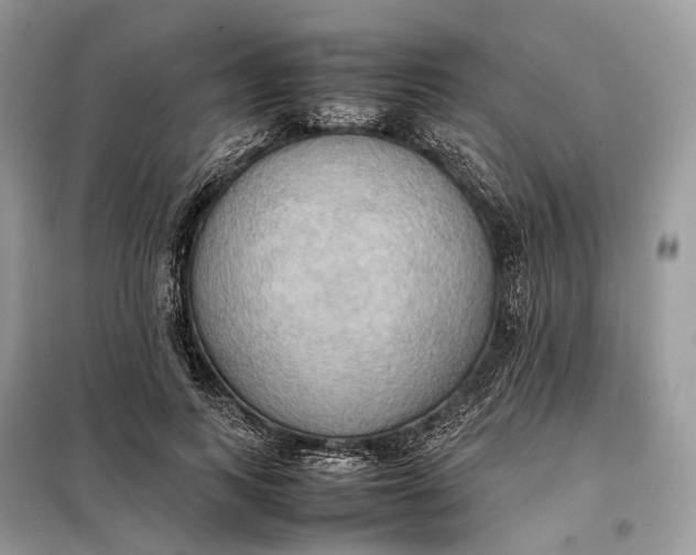 X0000099230743200805081557