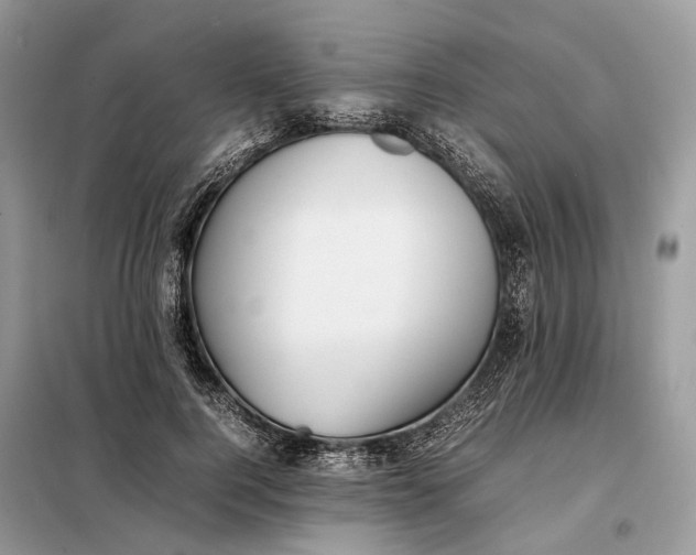 X0000099230744200805081557