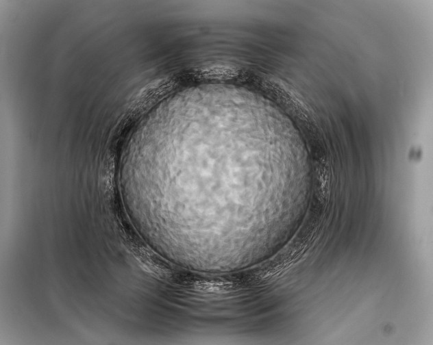 X0000099230745200805081557