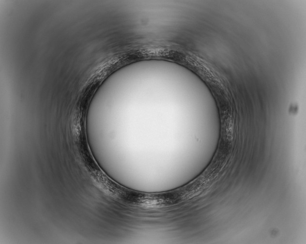 X0000099230746200805081557