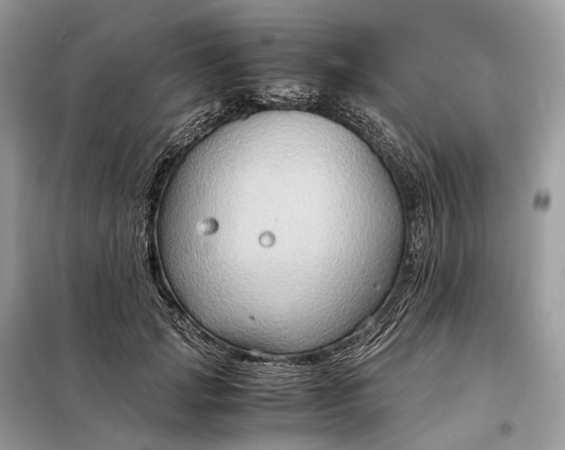 X0000099230749200805081557