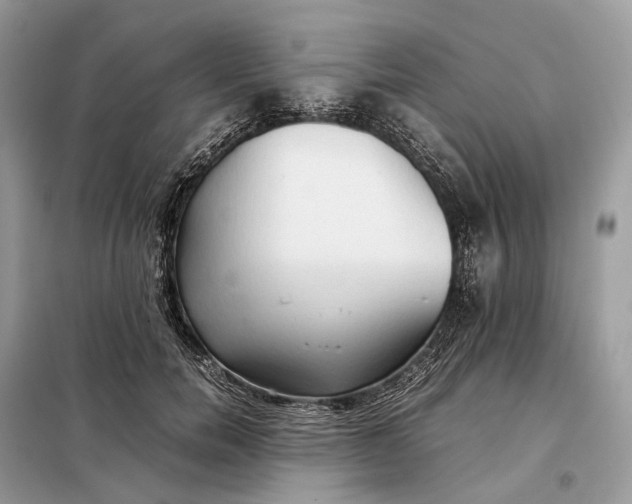 X0000099230750200805081557