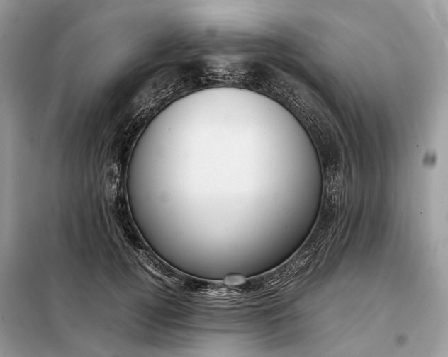 X0000099230752200805081557