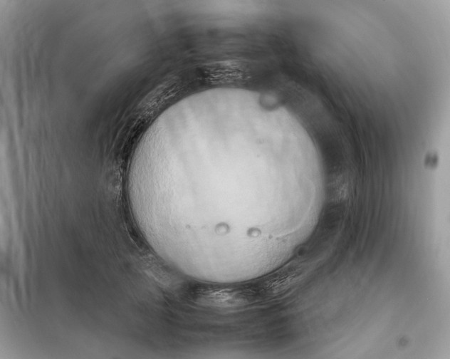 X0000099230753200805081557