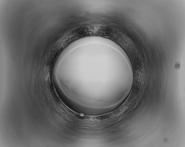 X0000099230754200805081557