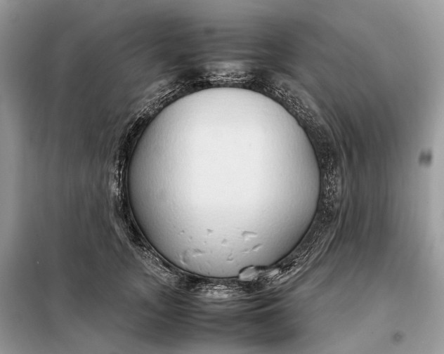 X0000099230755200805081557