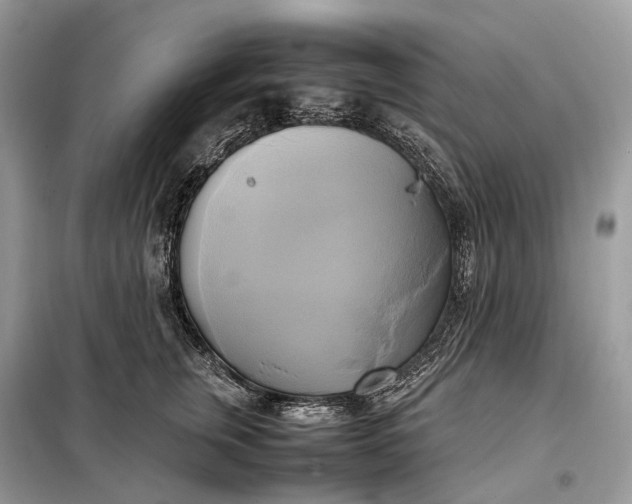 X0000099230759200805081557