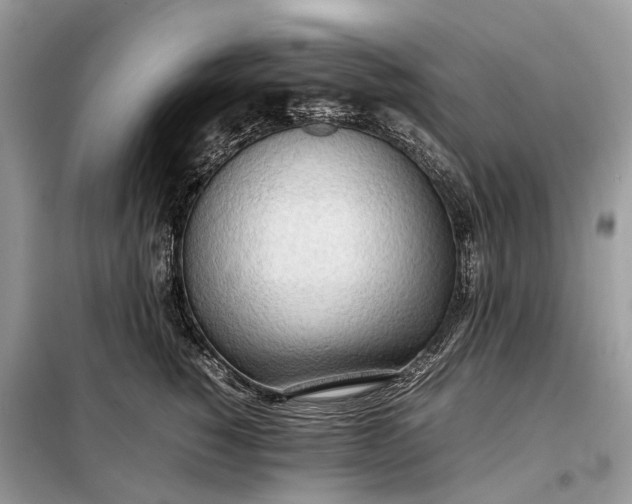 X0000099230760200805081557