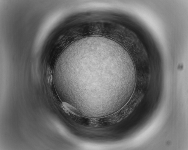 X0000099230766200805081557