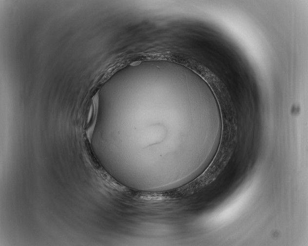 X0000099230767200805081557